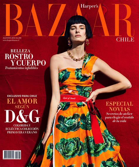 harper's bazaar dolce gabbana